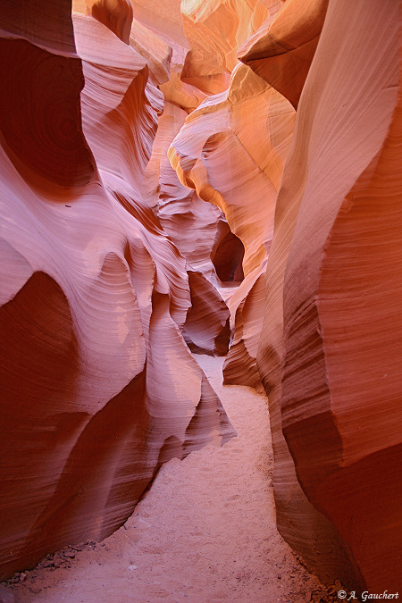 Lower Antelope